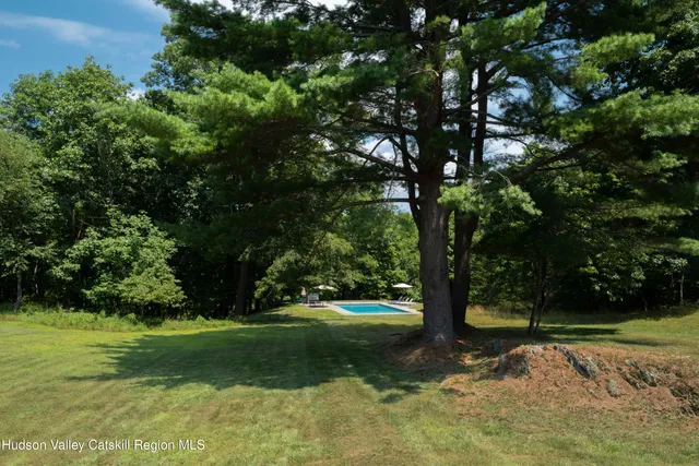 a view of a yard with large trees