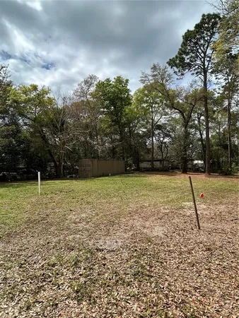 a view of a backyard