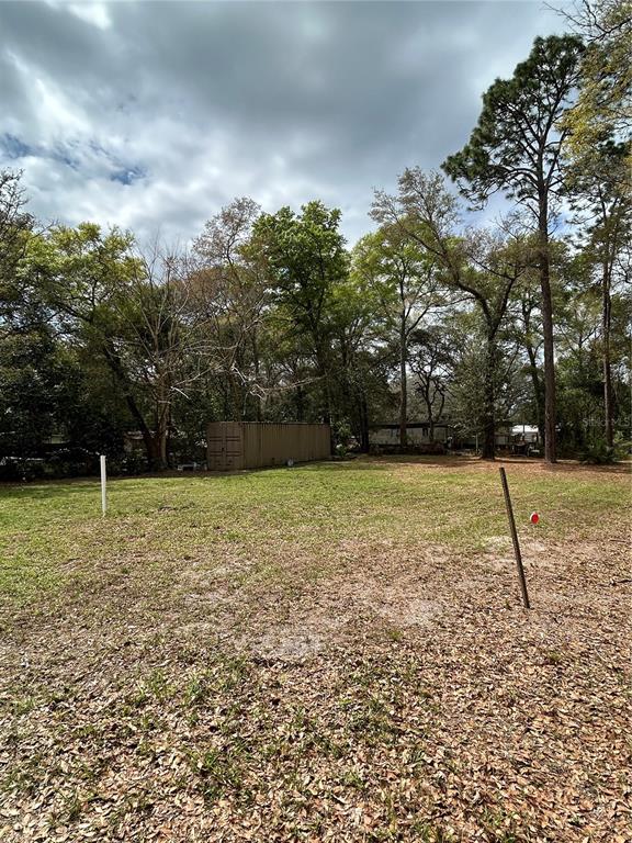 4th Street Altoona, FL 32702 - Photo 1 of 6 a view of a backyard