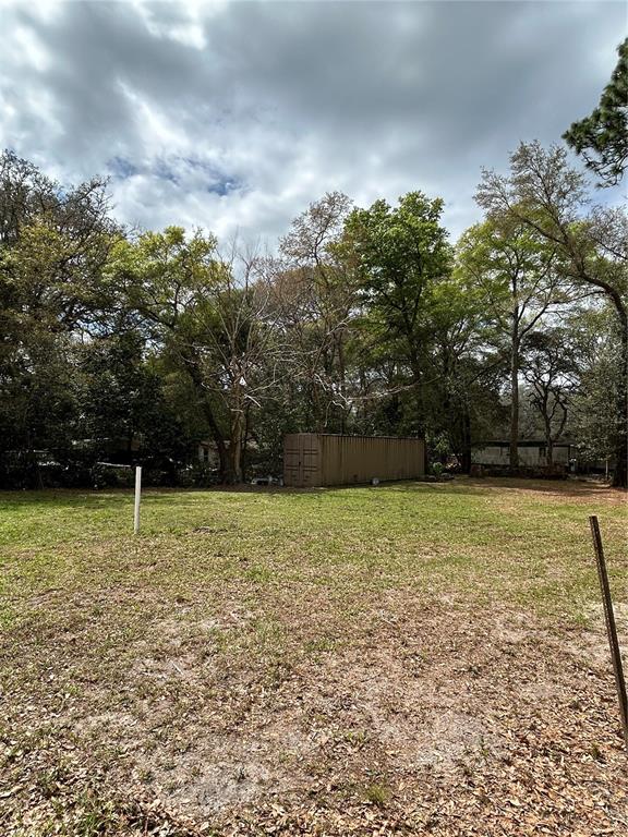 4th Street Altoona, FL 32702 - Photo 2 of 6 a view of a field with a trees