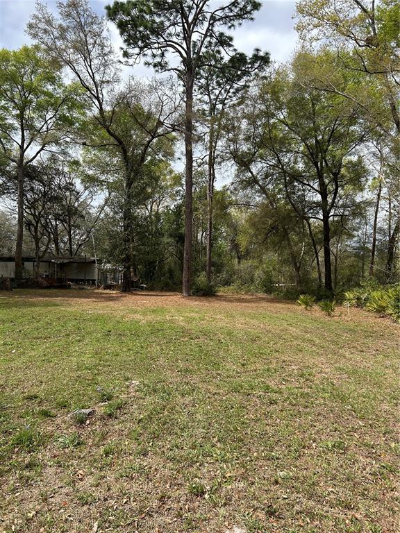 4th Street Altoona, FL 32702 - Photo 3 of 6 a view of outdoor space with trees