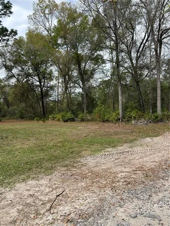 $20,000 | 4th Street, Altoona, FL 32702