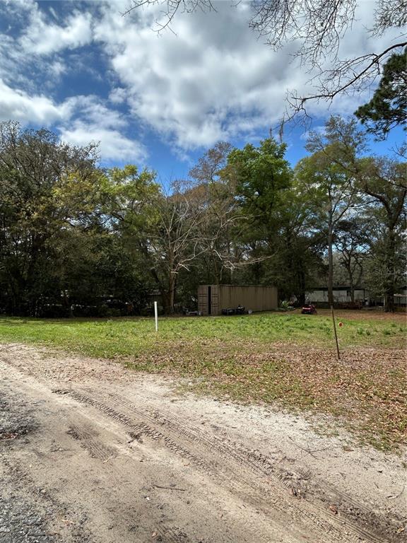 4th Street Altoona, FL 32702 - Photo 5 of 6 a view of outdoor space with deck and trees