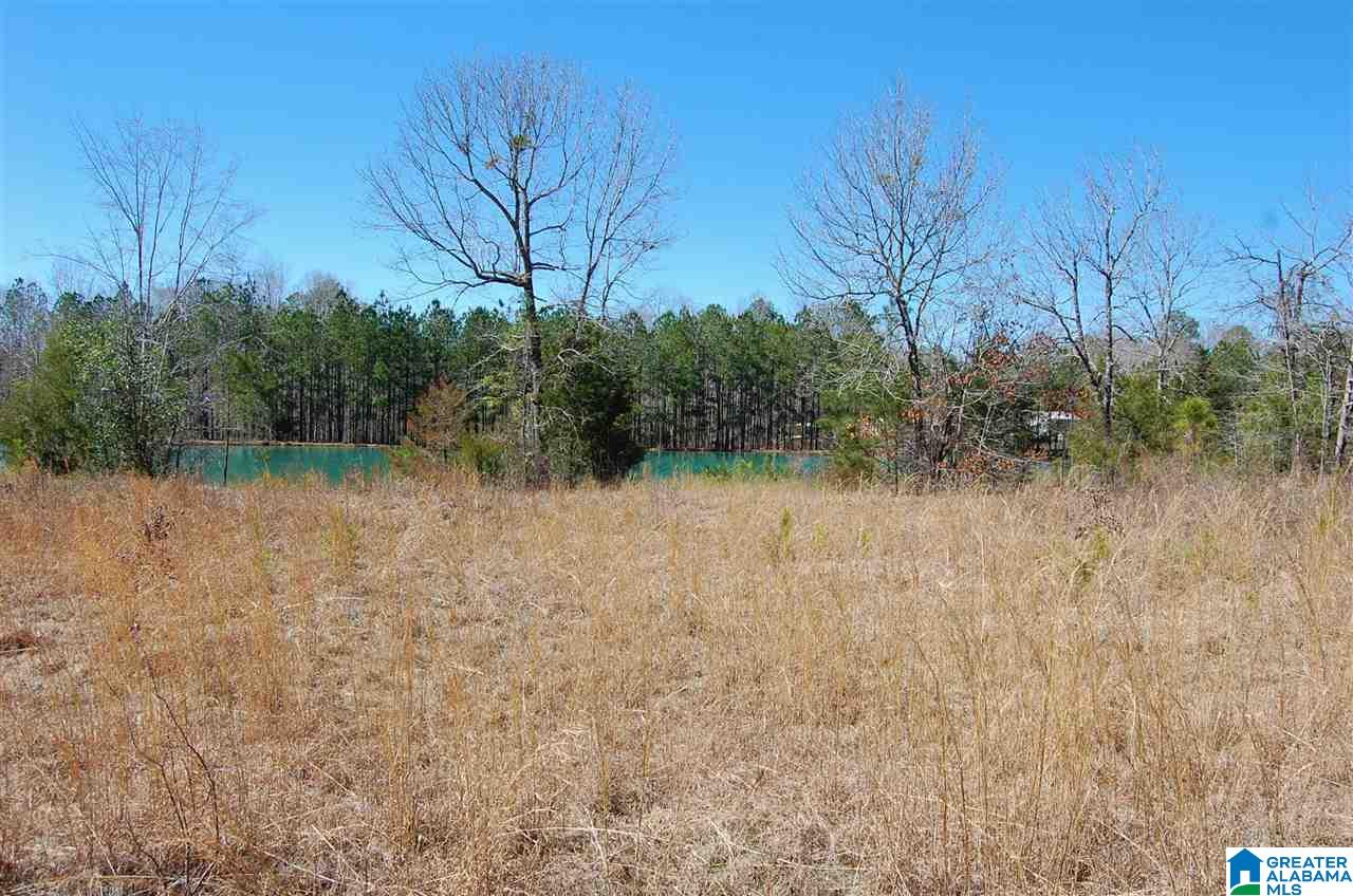 0 Melissa Robyn Road, Unit 1 Deatsville, AL 36022 - Photo 13 of 29