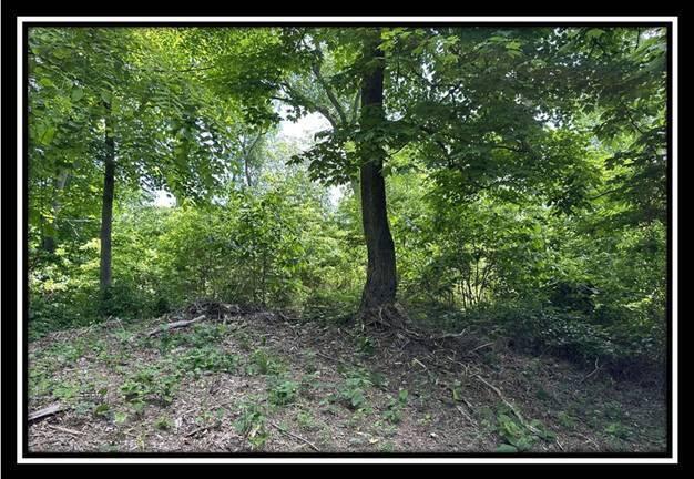 85 Weaver Road, Unit TRACT B) Chillicothe, OH 45601 - Photo 29 of 49 image028