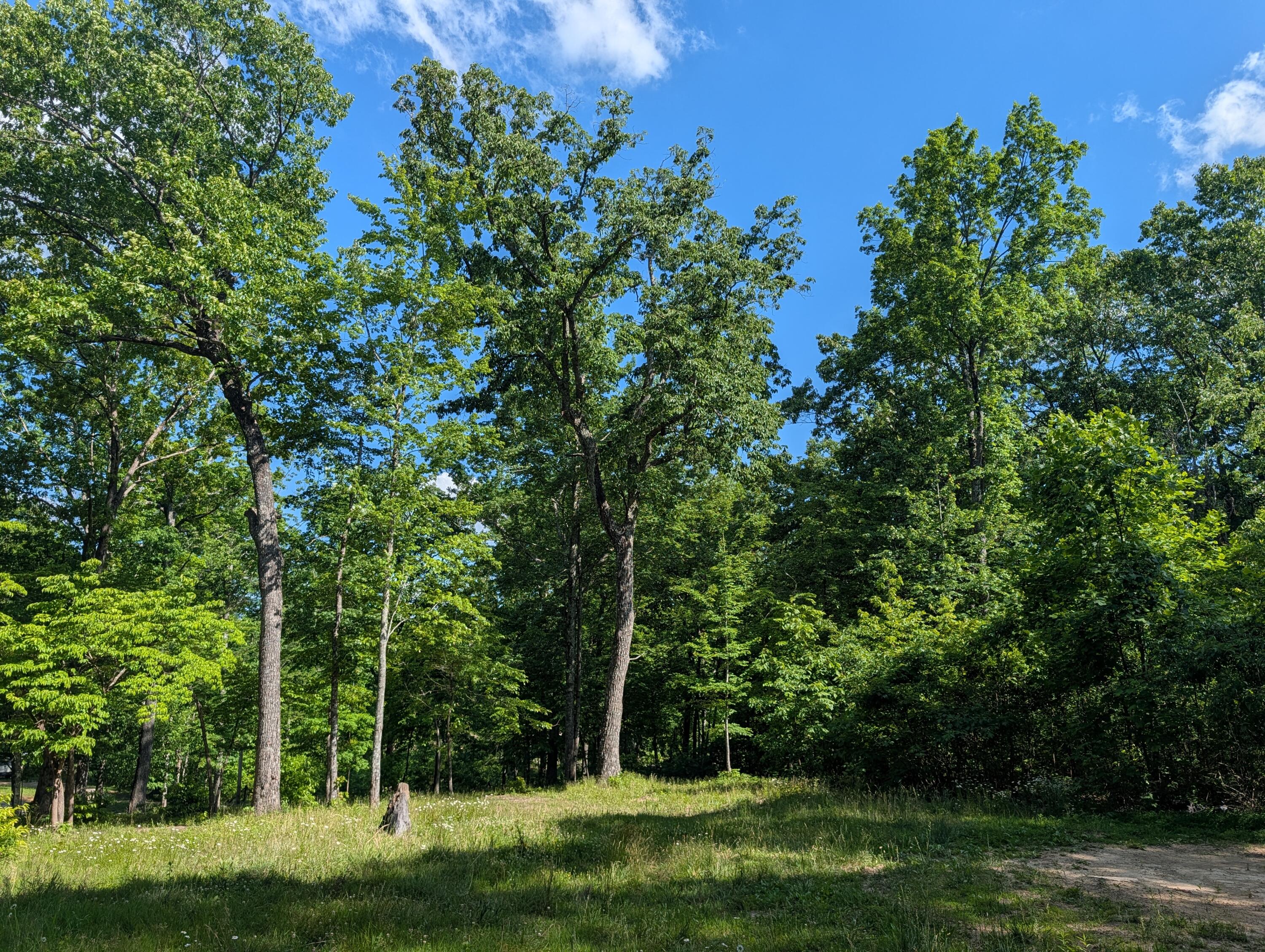 Lot 94-95 Red Oak Ln Spring Spring City, TN 37381 - Photo 7 of 10 PXL_20260518_204009289