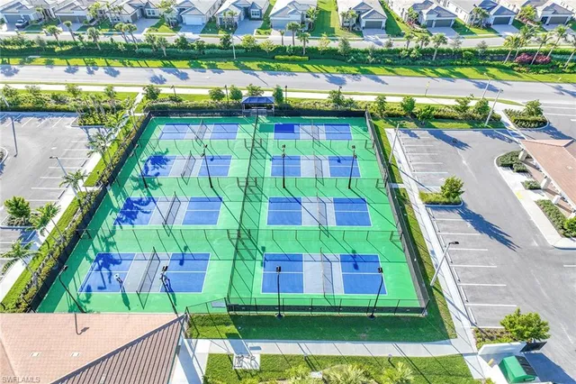 a view of a yard with a palm tree