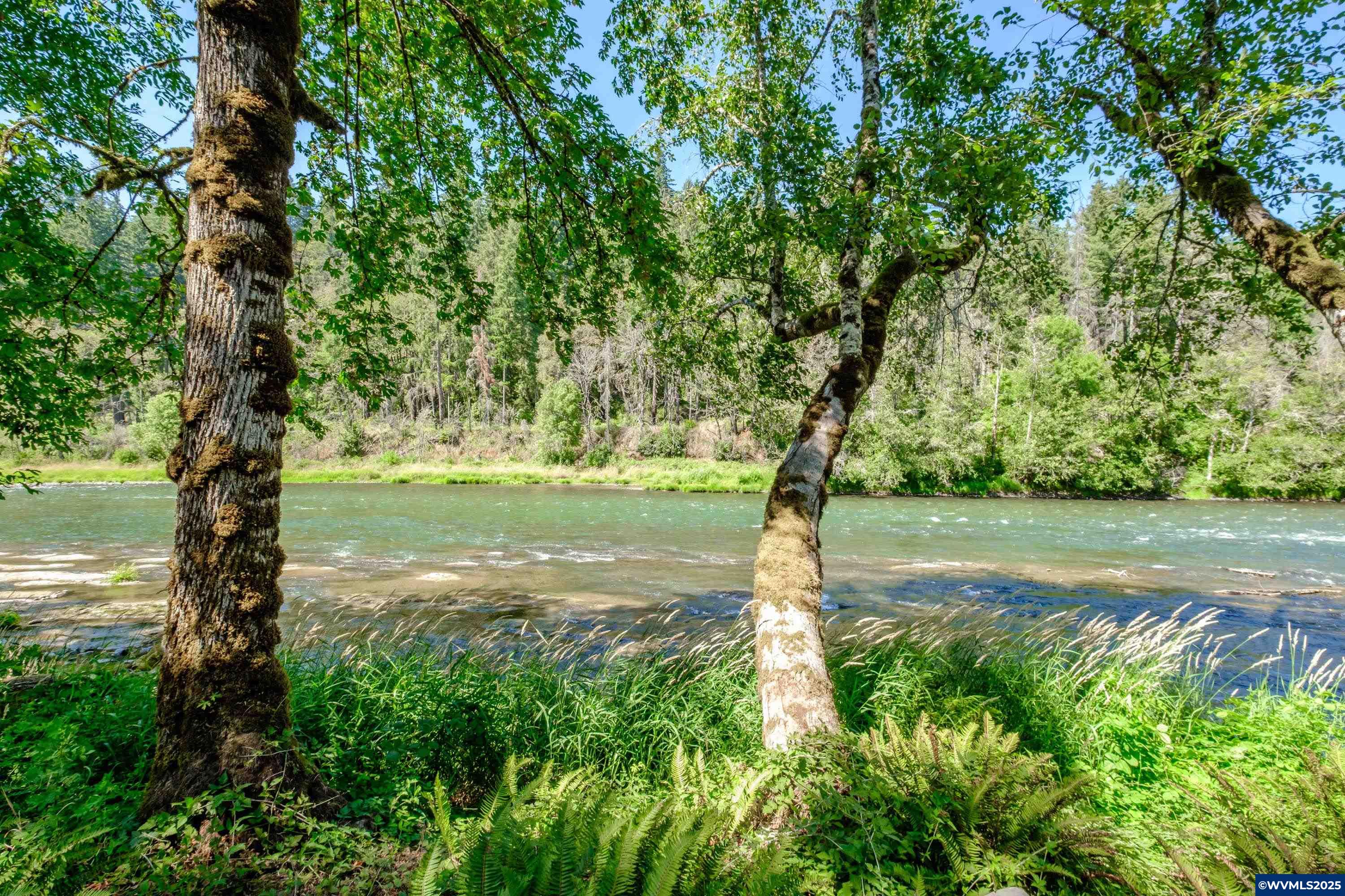 45849 River Loop Lyons, OR 97358 - Photo 4 of 44 Gallery Image 4