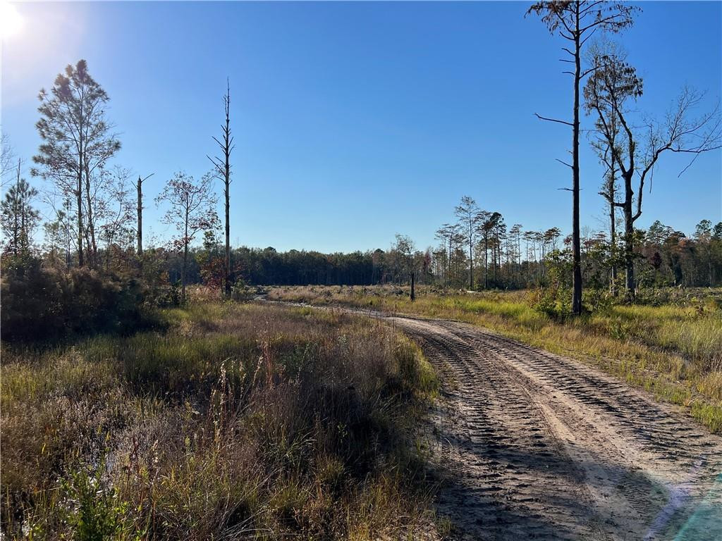 99 Highway 99 Townsend, GA 31331 - Photo 26 of 36