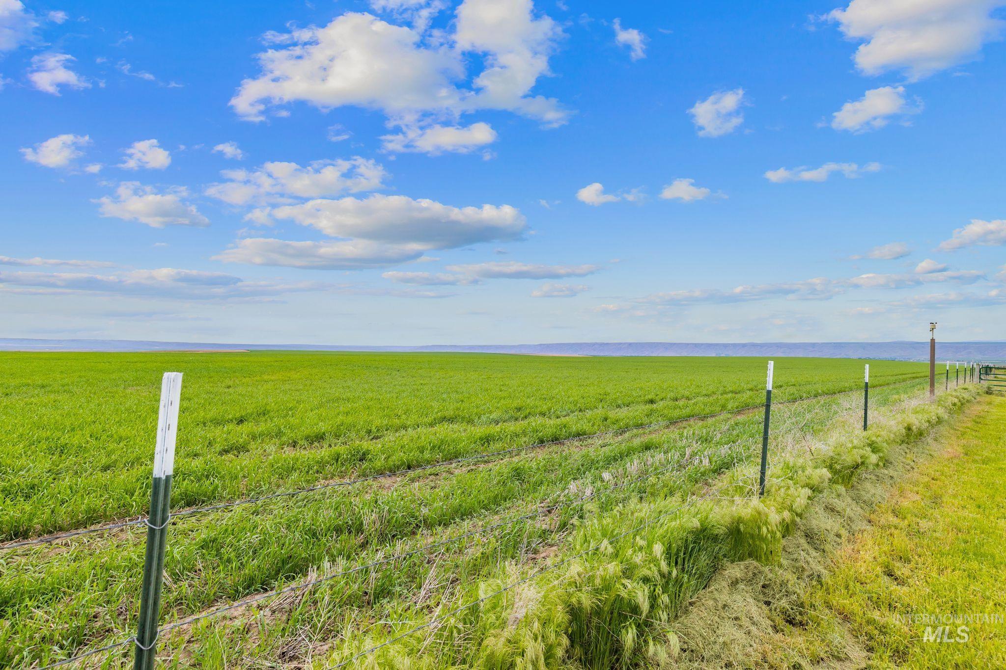 37989 Rosenkrantz Road Lewiston, ID 83501 - Photo 46 of 50 Expansive green field under a broad blue sky with scattered clouds