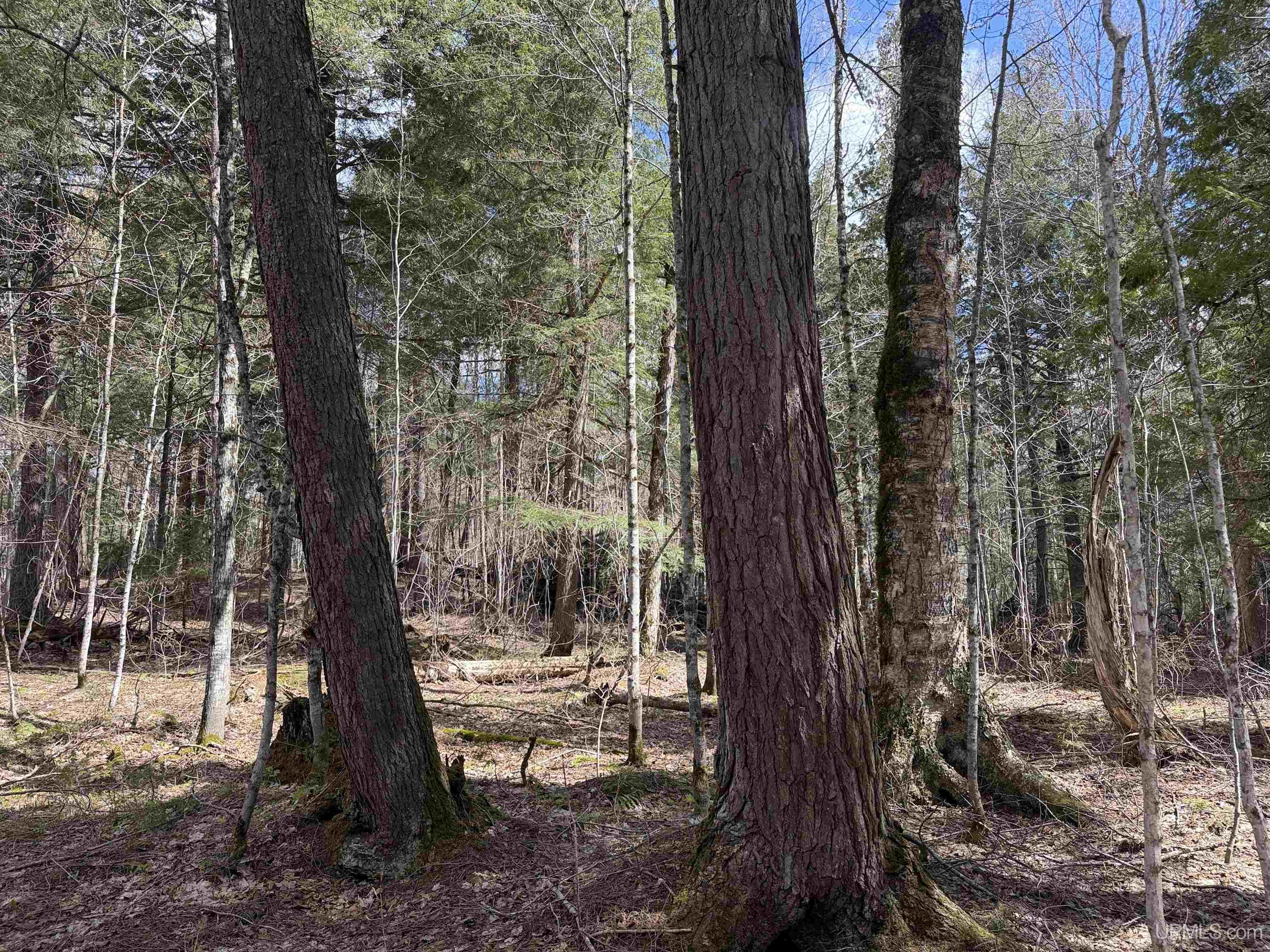 Off Black River Road Ironwood, MI 49938 - Photo 17 of 31