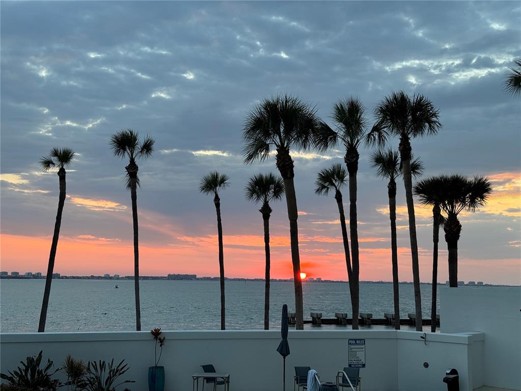 988 Boulevard Of The Arts, Unit 109 Sarasota, FL 34236 - Photo 51 of 92