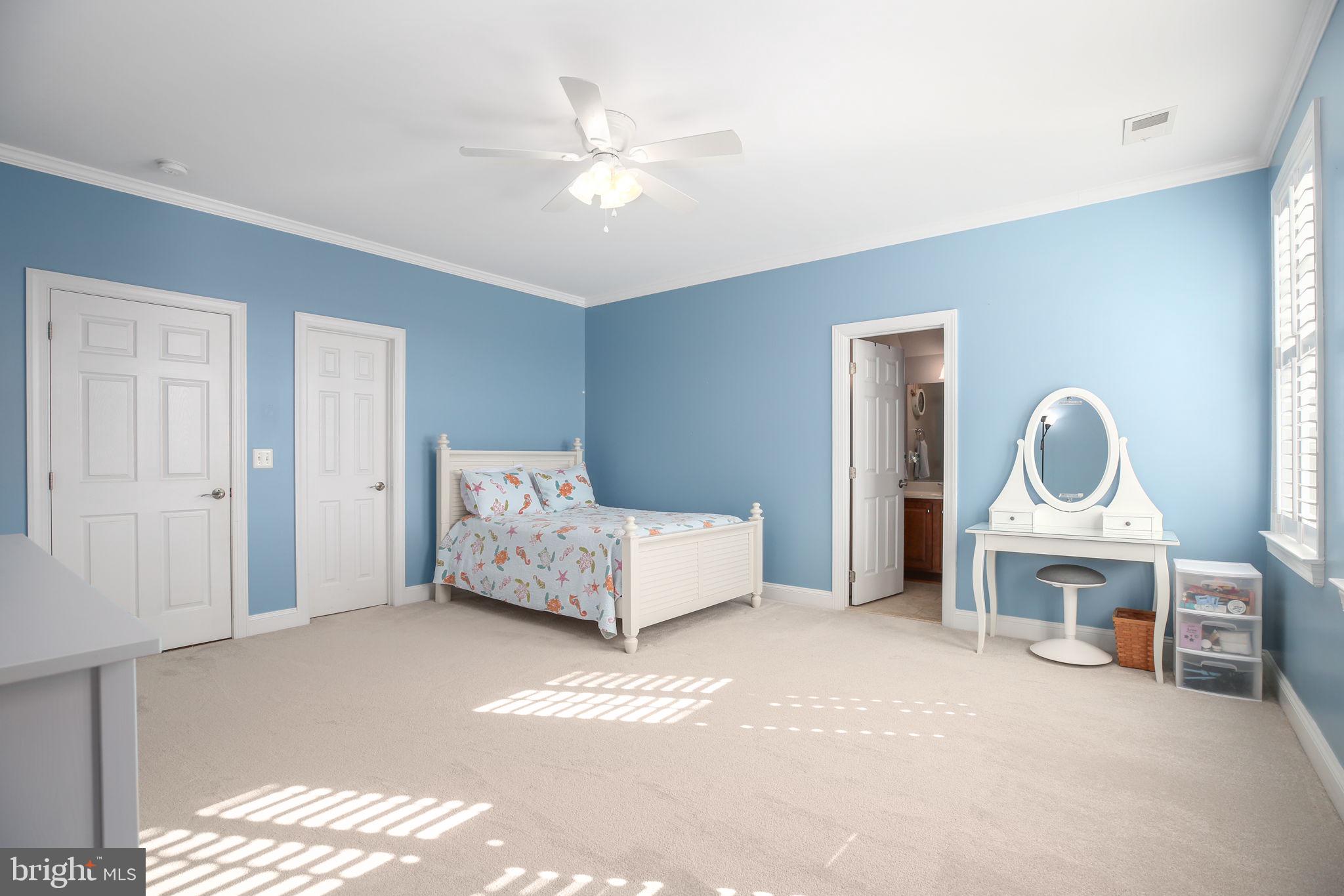 9910 Agnes Lane Spotsylvania, VA 22553 - Photo 48 of 106 a bedroom with furniture and a fireplace