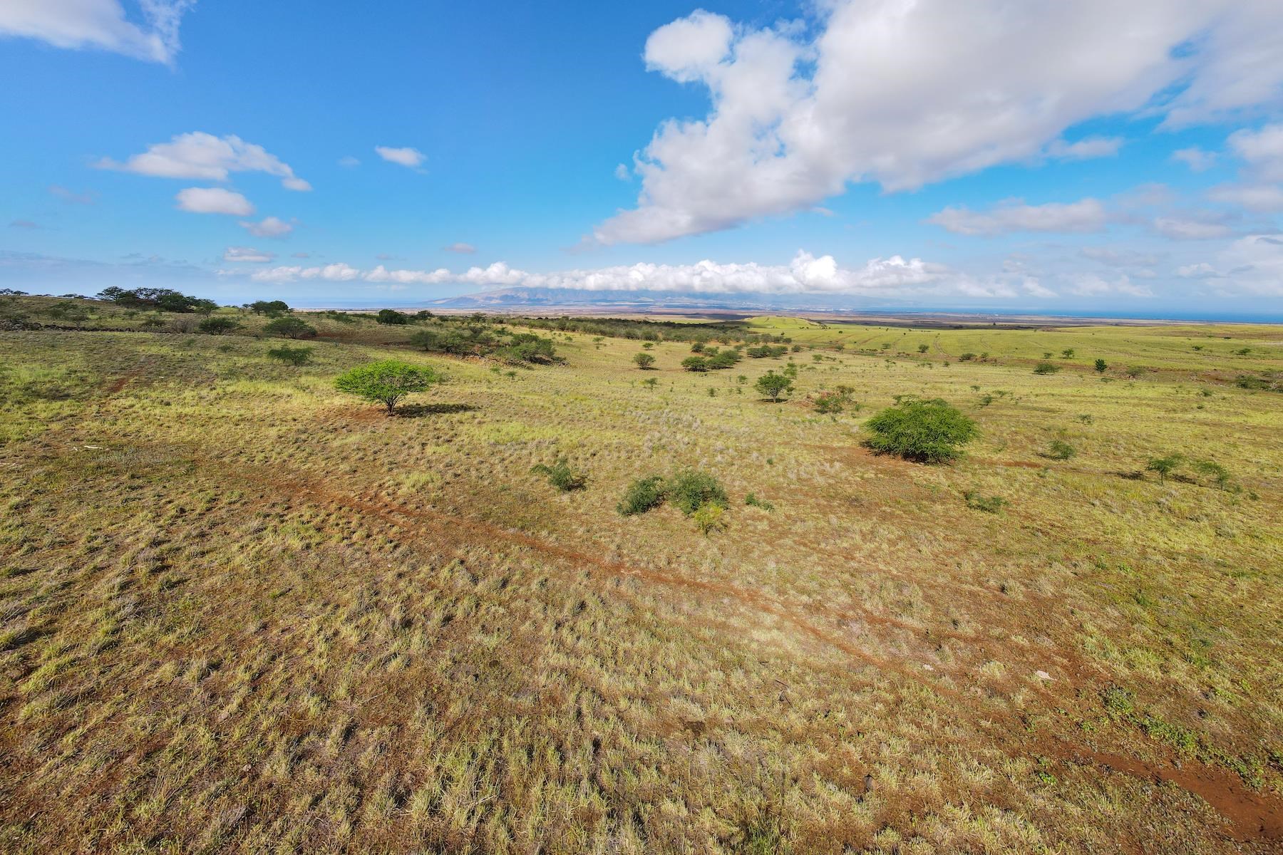 2900 Omaopio Road Kula, HI 96790 - Photo 10 of 10 Gallery Image 10