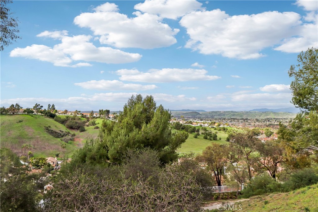 4885 Baroque Terrace Oceanside, CA 92057 - Photo 46 of 70