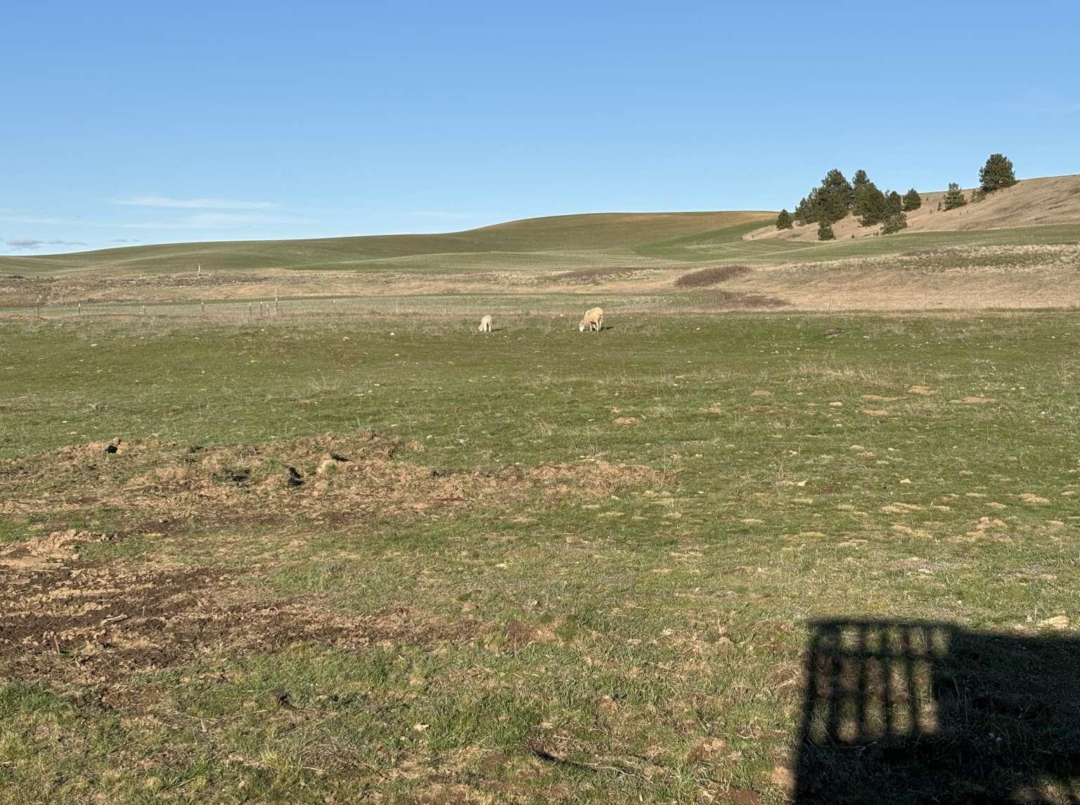 12213 South Stangland Road Medical Lake, WA 99022 - Photo 21 of 24