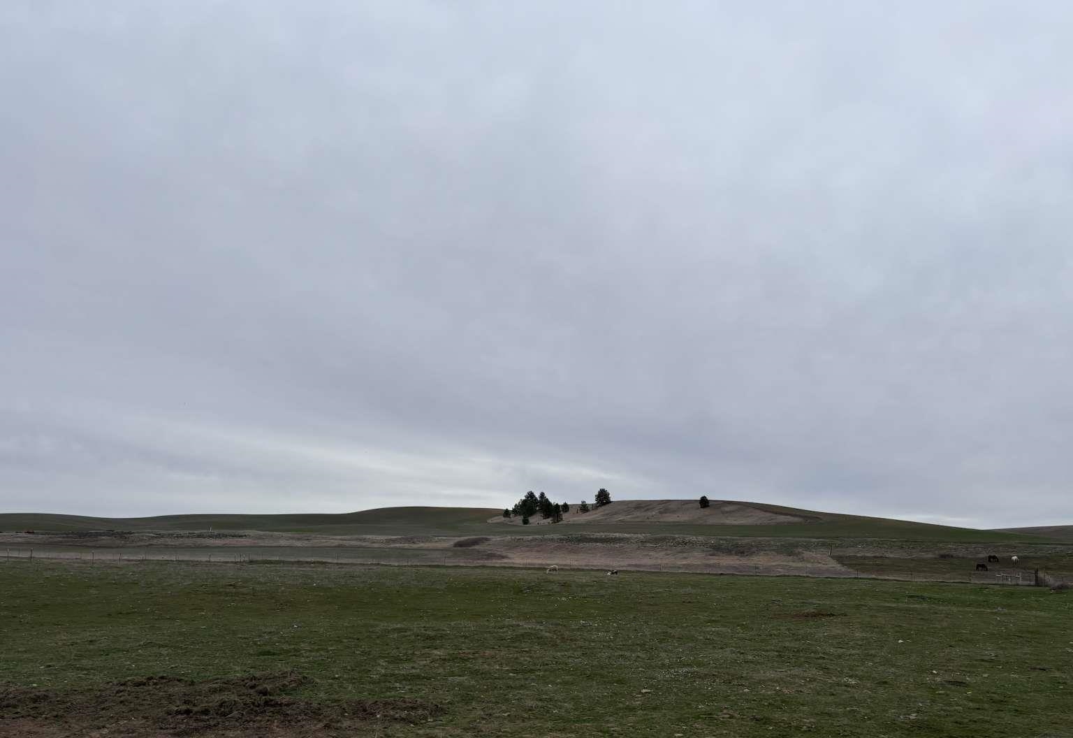 12213 South Stangland Road Medical Lake, WA 99022 - Photo 22 of 24