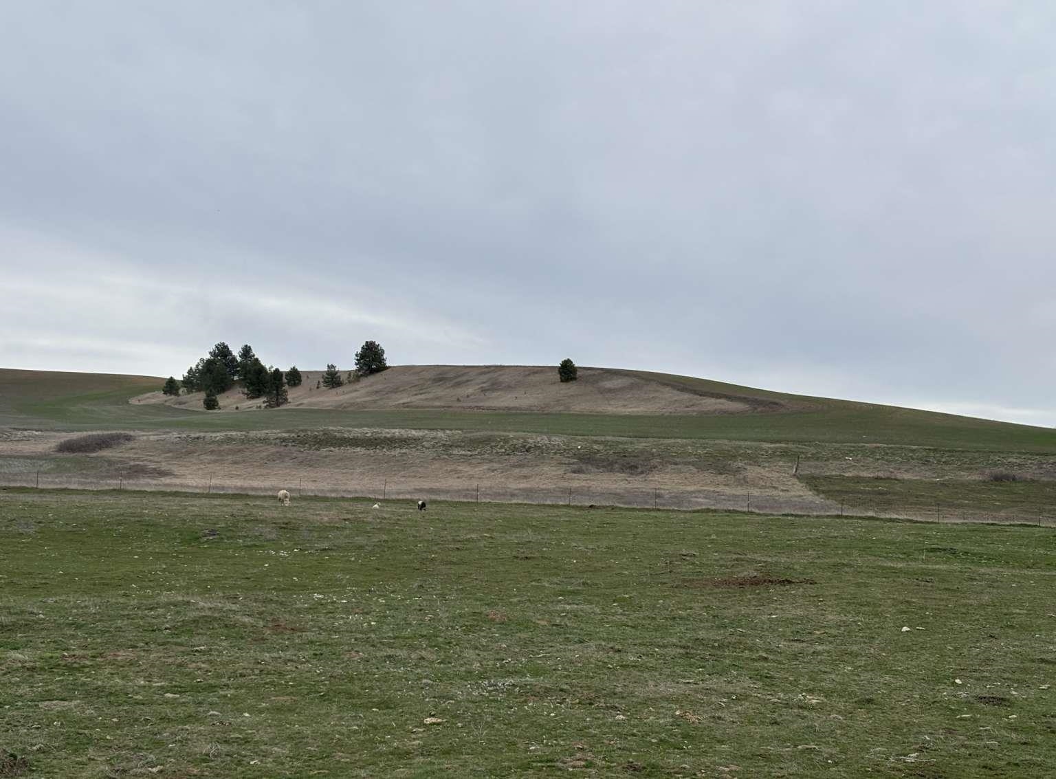 12213 South Stangland Road Medical Lake, WA 99022 - Photo 23 of 24