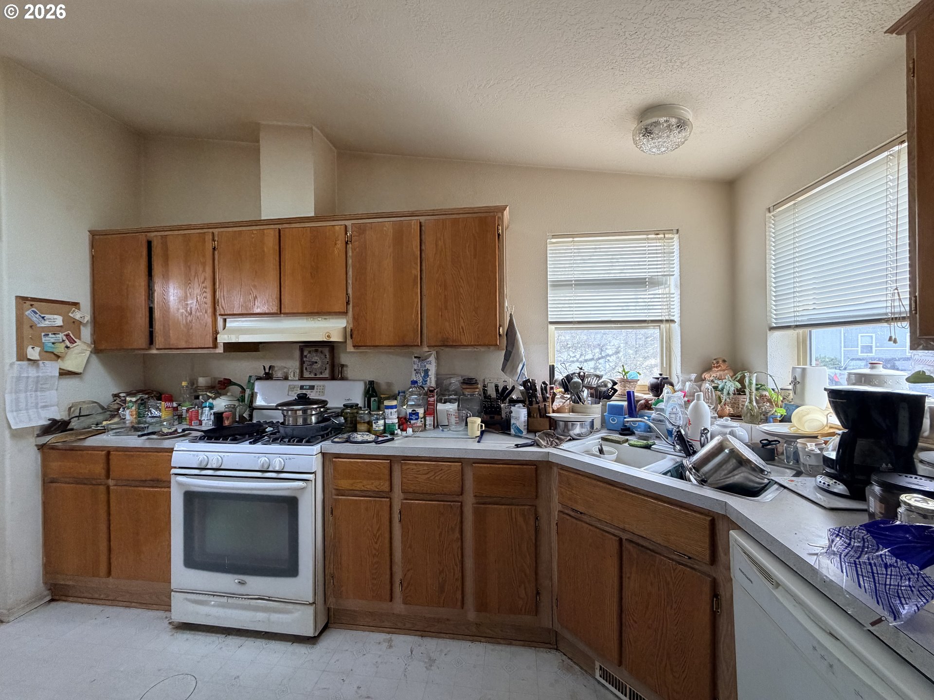 2242 Maia Loop Springfield, OR 97477 - Photo 7 of 24