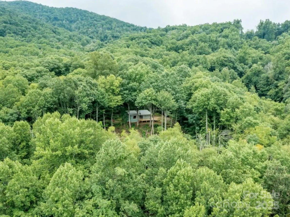 275 Barrett Road Balsam, NC 28707 - Photo 3 of 34 Gallery Image 3