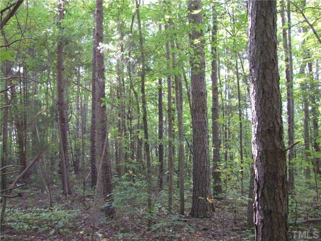 Mill Creek Road Roxboro, NC 27574 - Photo 5 of 5 Photo 5