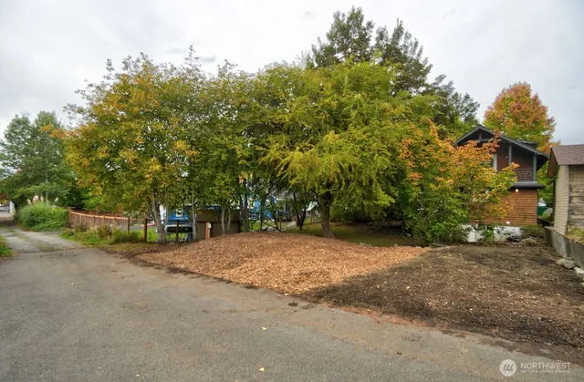 a view of backyard with large trees