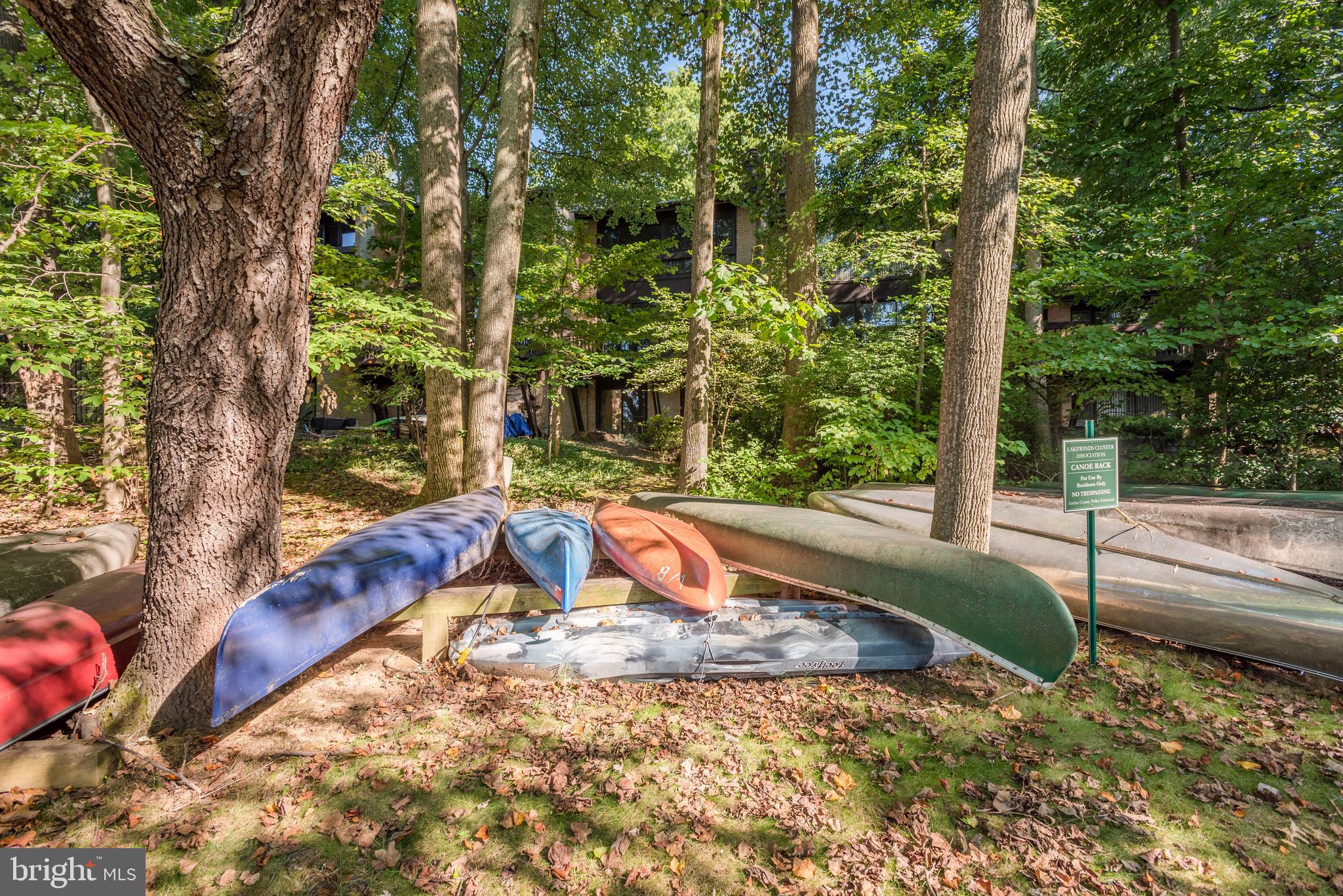 2025 Lakebreeze Way Reston, VA 20191 - Photo 45 of 48 a view of backyard with large tree