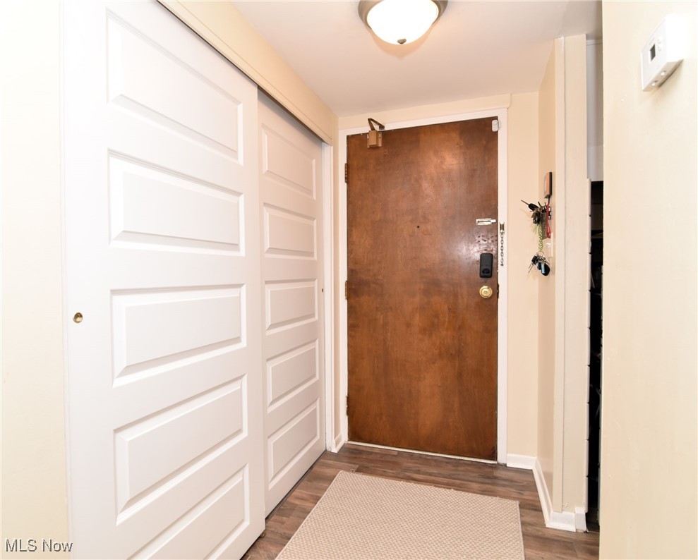 1105 Canyon View Road, Unit 602 Northfield, OH 44067 - Photo 3 of 31 Entryway with large closet