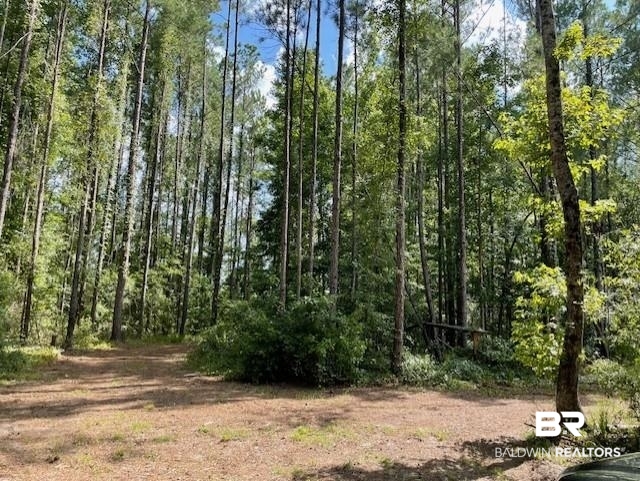 0 Highway 29 Andalusia, AL 36420 - Photo 8 of 9 View of wooded area