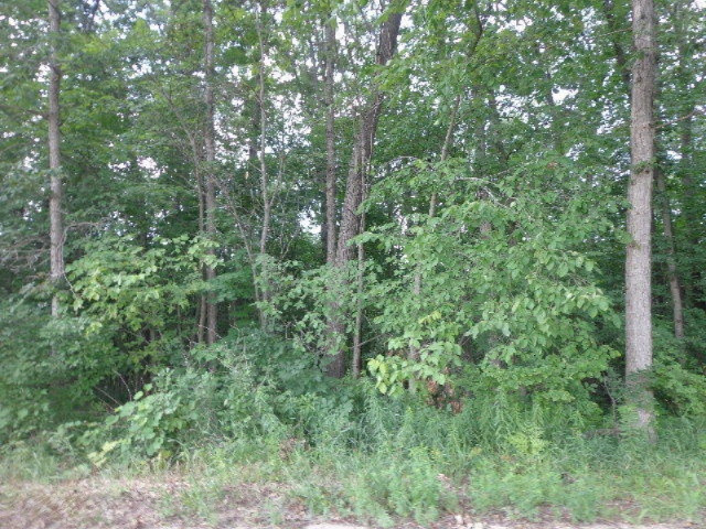 1387 Struble Road Muir, MI 48860 - Photo 1 of 6 DSC00414