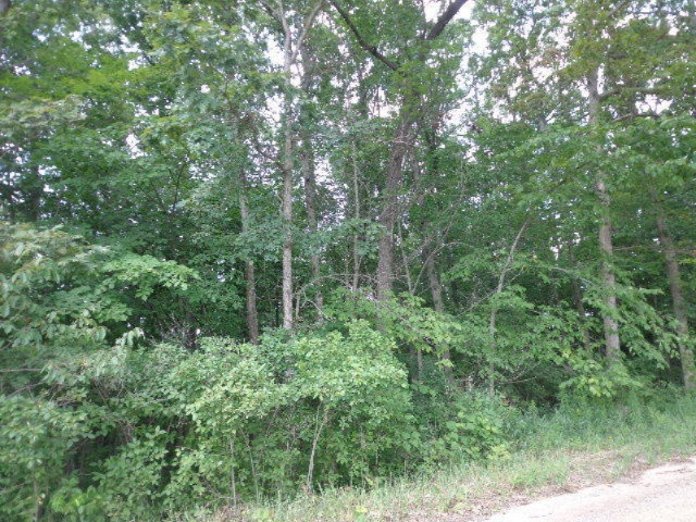 1387 Struble Road Muir, MI 48860 - Photo 3 of 6 DSC00415