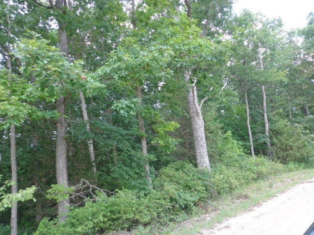 1387 Struble Road Muir, MI 48860 - Photo 4 of 6 DSC00416