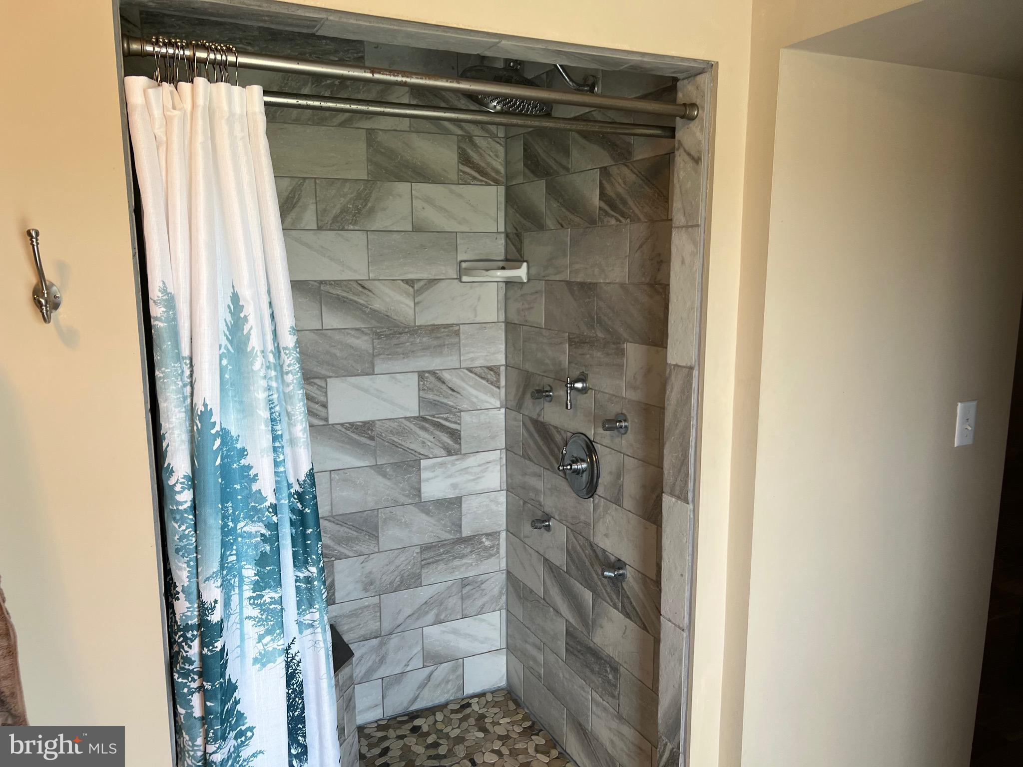 25980 Rumbley Road Westover, MD 21871 - Photo 21 of 78 Primary Shower