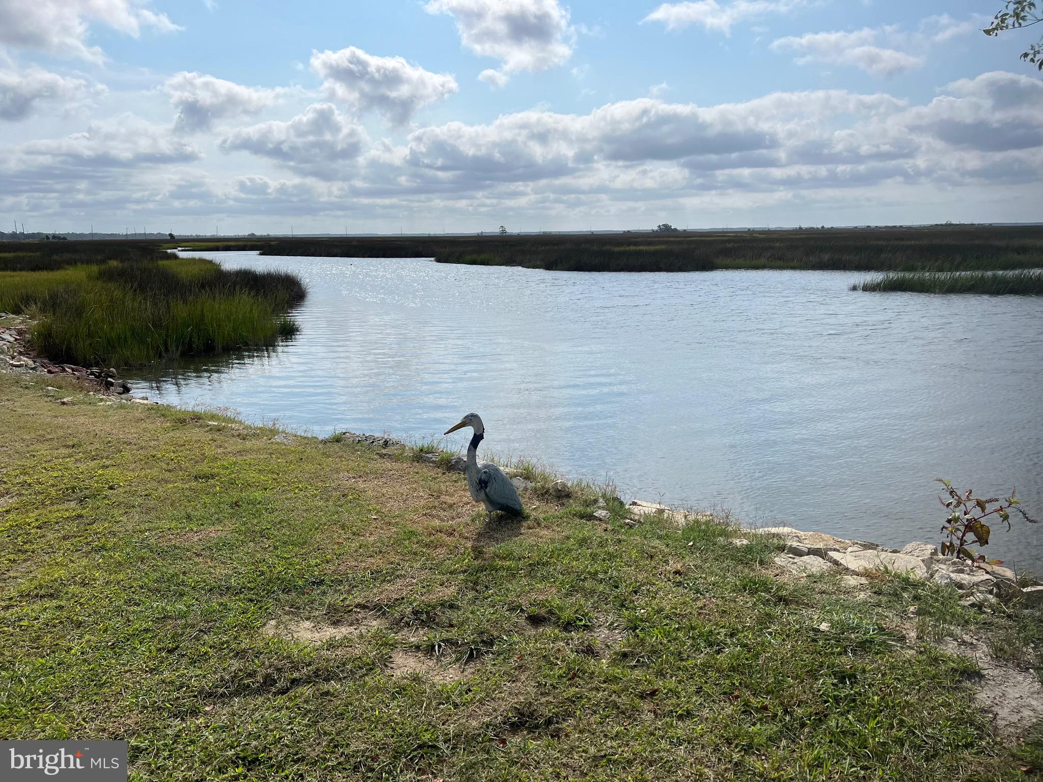 25980 Rumbley Road Westover, MD 21871 - Photo 59 of 78 Water Front