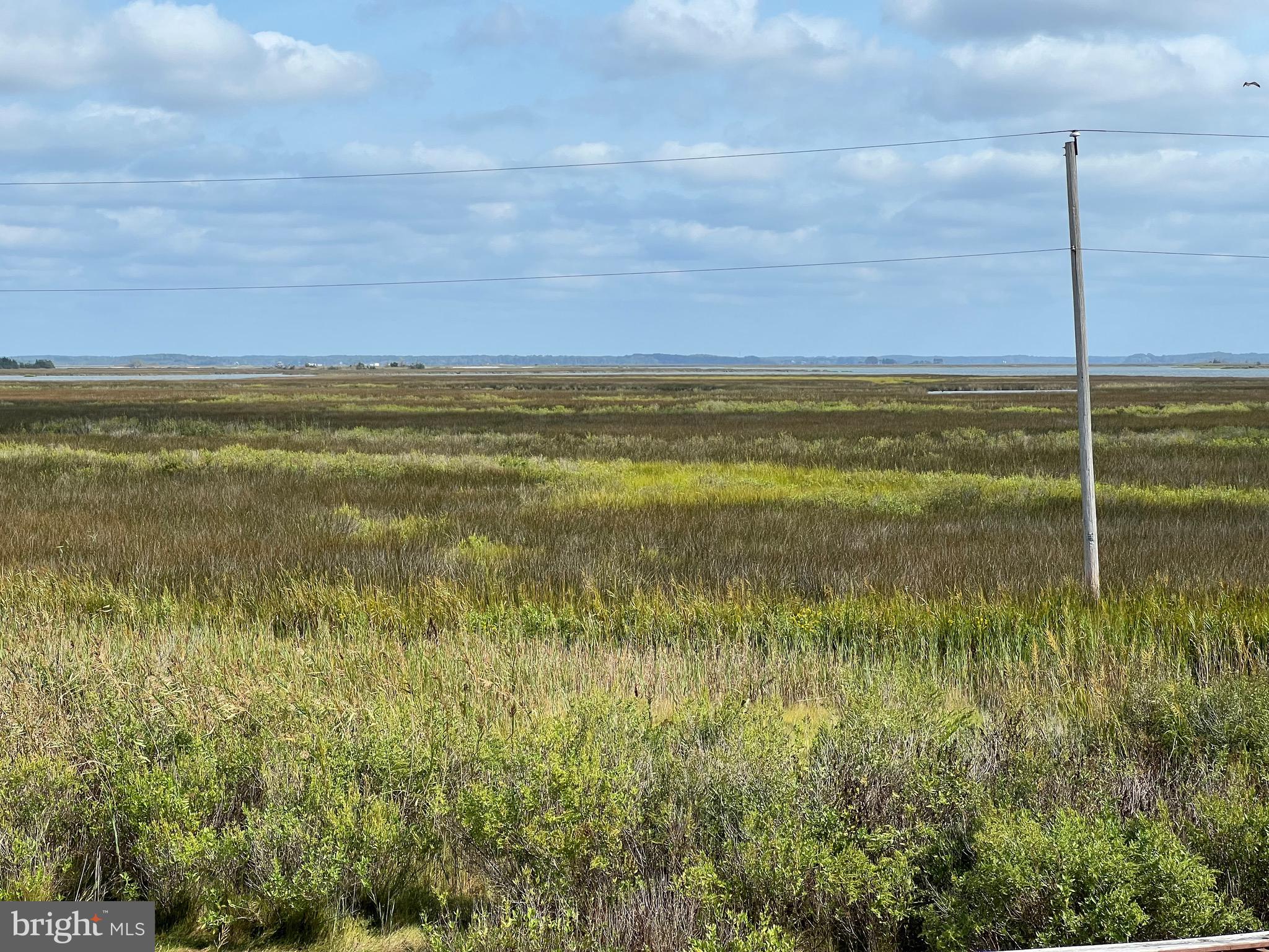 25980 Rumbley Road Westover, MD 21871 - Photo 77 of 78 Back yard View