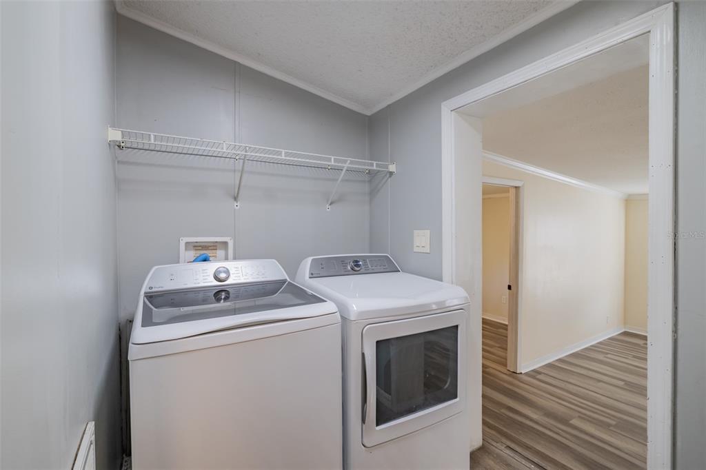 18832 Dorman Road Lithia, FL 33547 - Photo 21 of 48