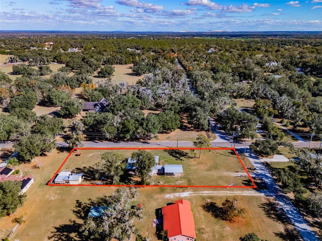 18832 Dorman Road Lithia, FL 33547 - Photo 45 of 48