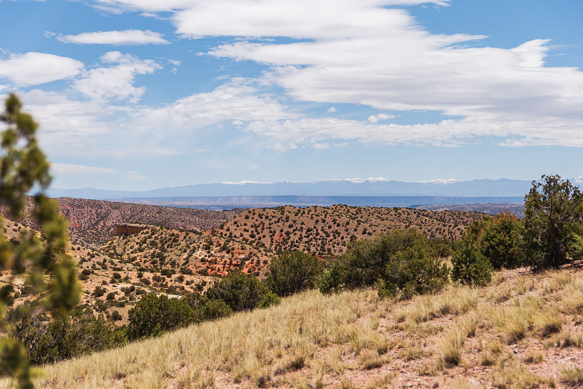 0 El Rito Estates Abiquiu, NM 87510 - Photo 19 of 56