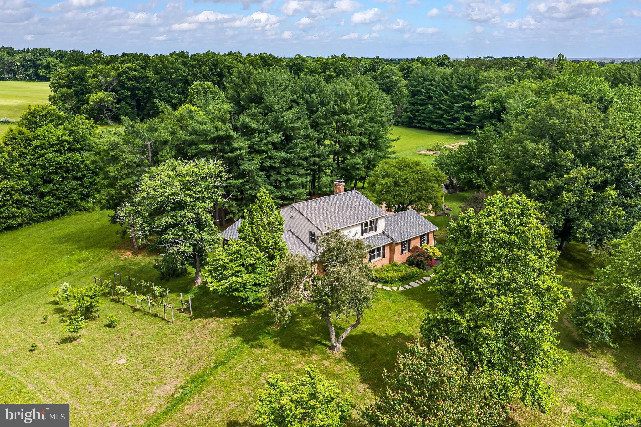 43910 Spinks Ferry Road Leesburg, VA 20176 - Photo 3 of 77