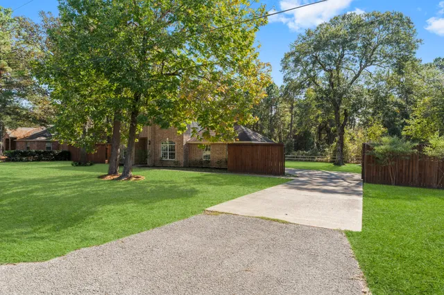 a small garden covered with tall trees