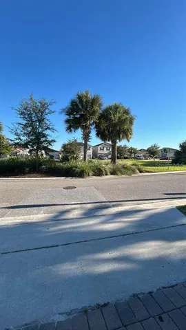a view of a lake with a mountain in the background