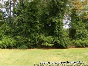 3250 Winesap Road Hope Mills, NC 28348 - Photo 2 of 9 a view of a yard