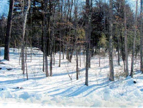 25-r-105 Osgood Road Windham, NH 03087 - Photo 1 of 1
