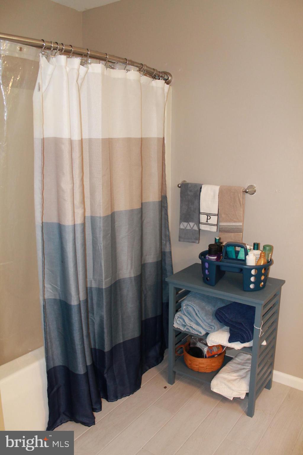 9391 Caledon Road King George, VA 22485 - Photo 32 of 54 primary bath
