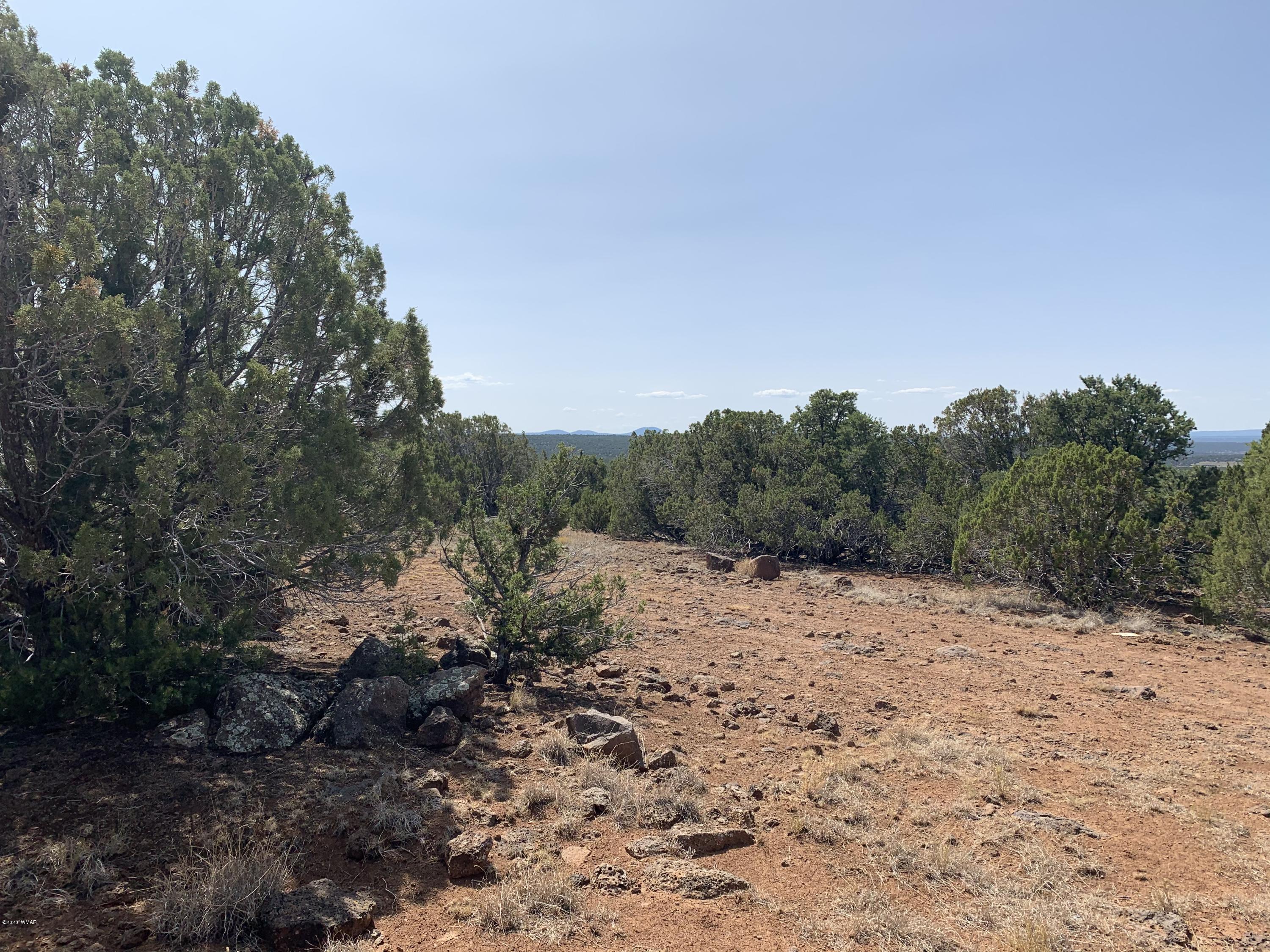 82-86 Co Road Concho, AZ 85924 - Photo 11 of 26
