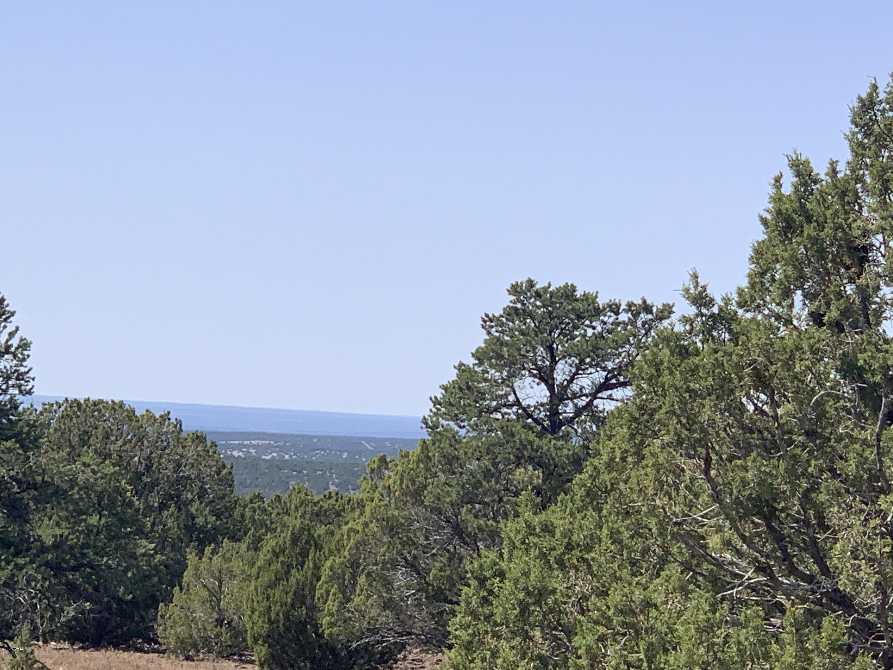 82-86 Co Road Concho, AZ 85924 - Photo 3 of 26