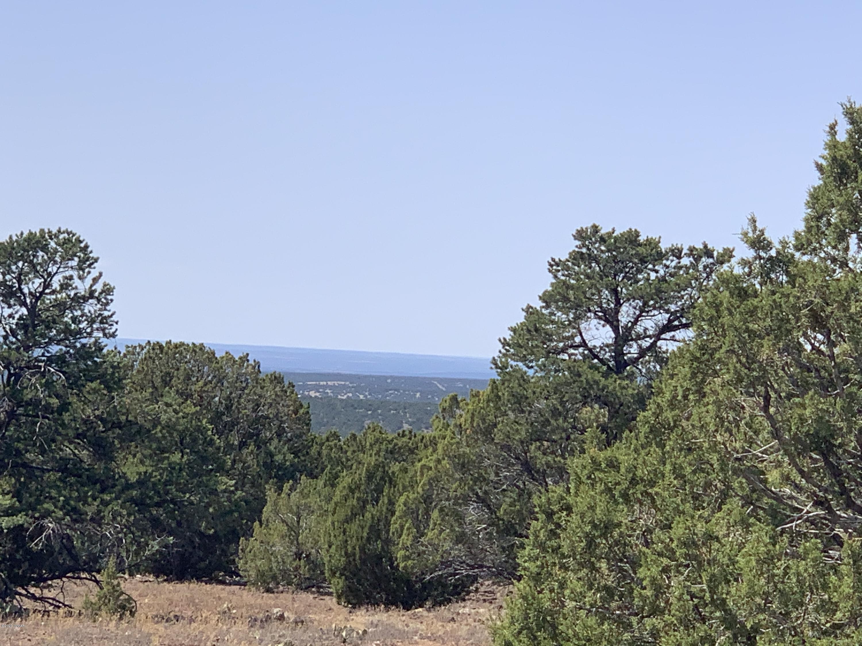 82-86 Co Road Concho, AZ 85924 - Photo 4 of 26