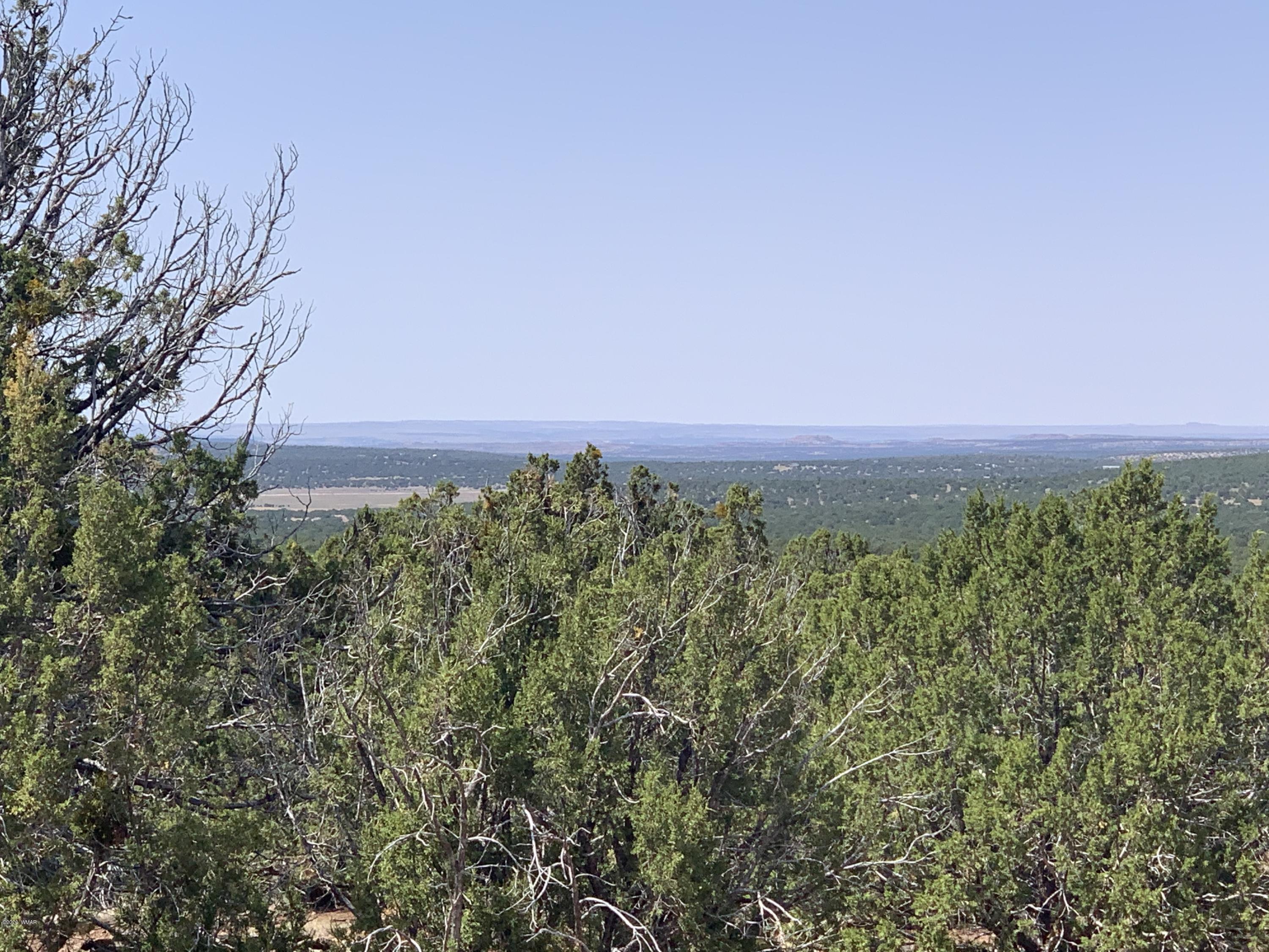 82-86 Co Road Concho, AZ 85924 - Photo 7 of 26