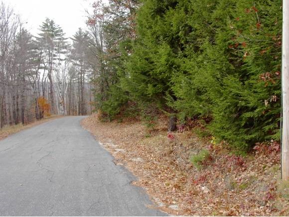0 Fairgrounds Road, Unit 2 Bradford, NH 03221 - Photo 2 of 4