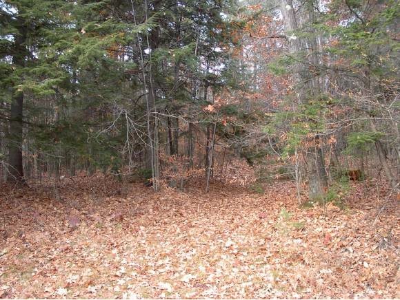 0 Fairgrounds Road, Unit 2 Bradford, NH 03221 - Photo 3 of 4